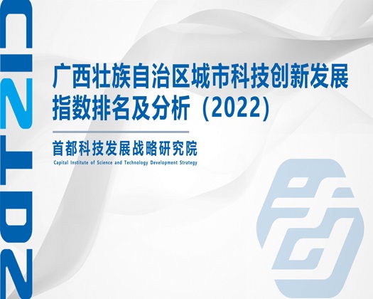 女人吃女人的鸡巴网站【成果发布】广西壮族自治区城市科技创新发展指数排名及分析（2022）